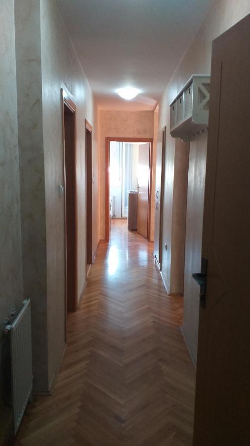 Apartman Anja Novi Sad Exterior photo